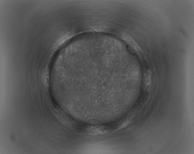 X0000116610680200912241734