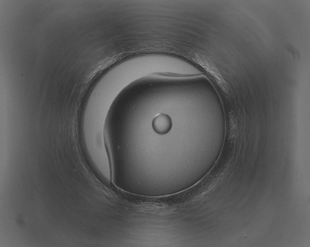 X0000116610681200912241734