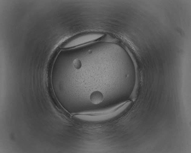 X0000116610684200912241734