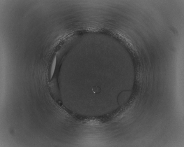 X0000116610689200912241733