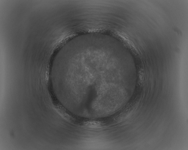 X0000116610691200912241733