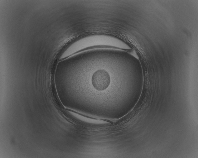 X0000116610692200912241733