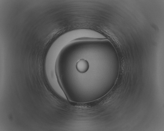 X0000116610693200912241733