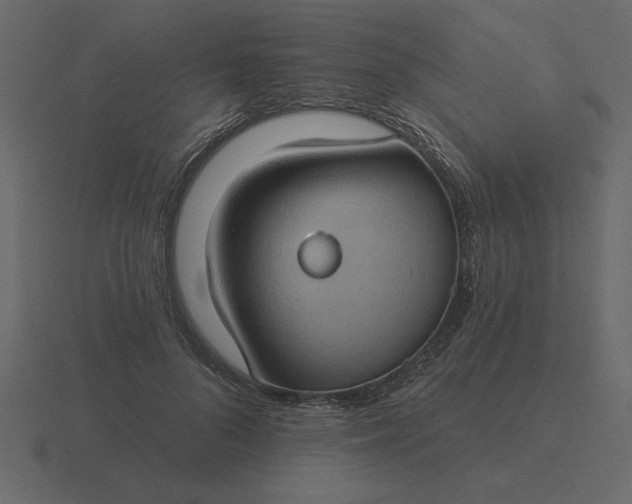 X0000116610696200912241733