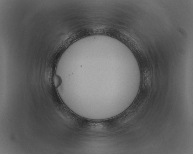 X0000116610698200912241733