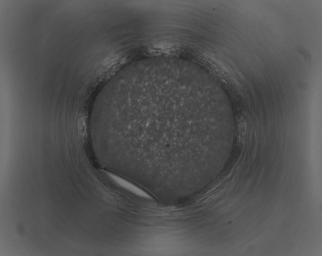 X0000116610699200912241733