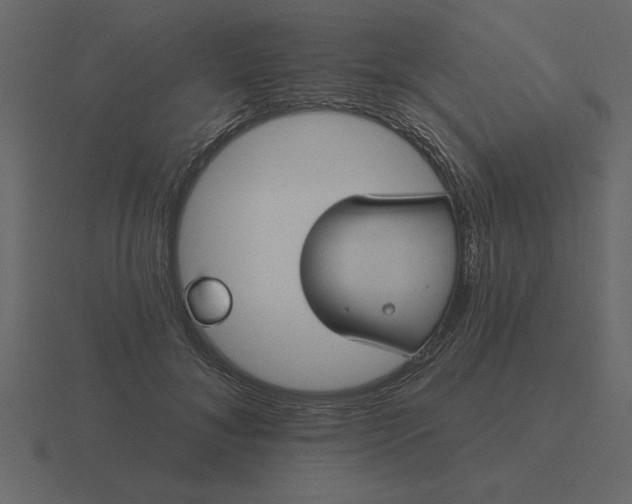 X0000116610700200912241733