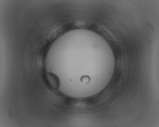 X0000116610702200912241733