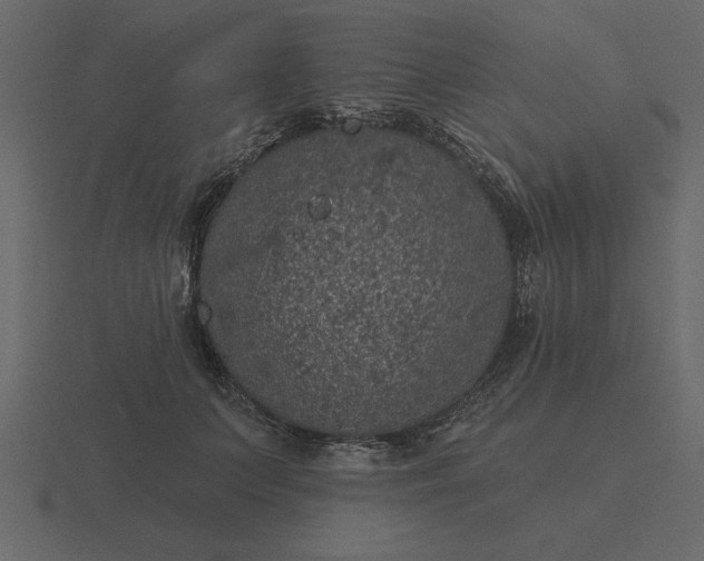 X0000116610703200912241733