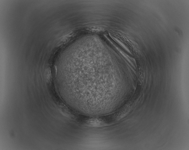 X0000116610704200912241733