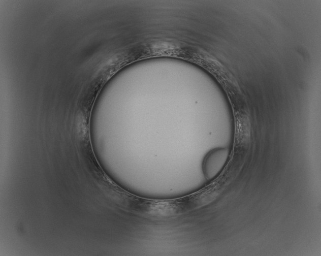 X0000116610705200912241733