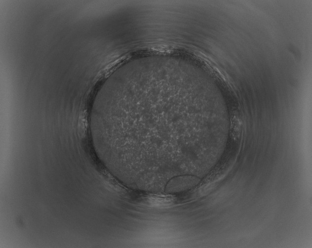 X0000116610707200912241733