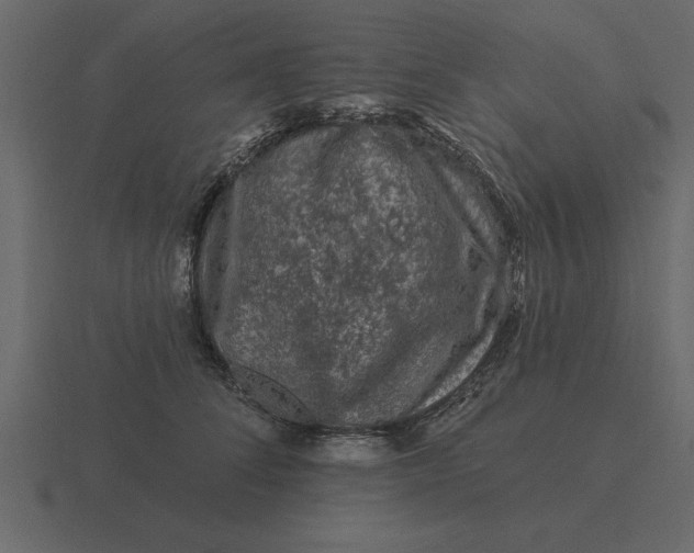 X0000116610708200912241733