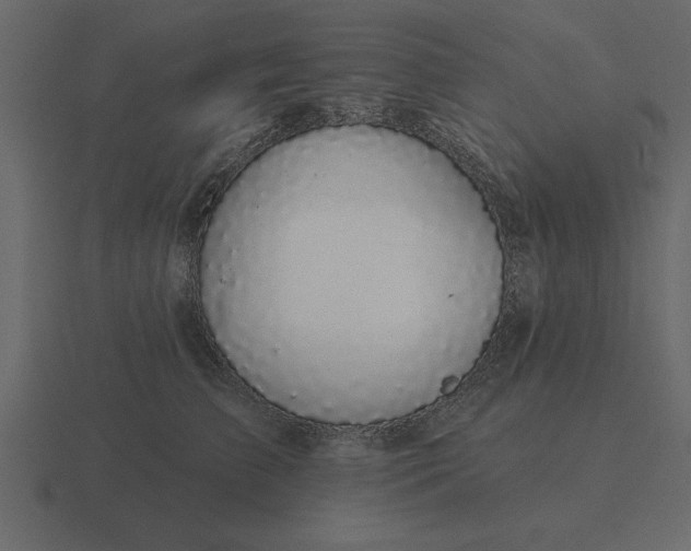 X0000116610709200912241733