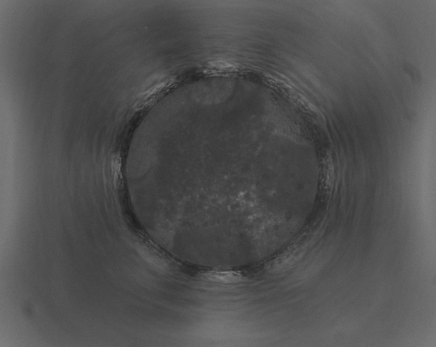 X0000116610711200912241733