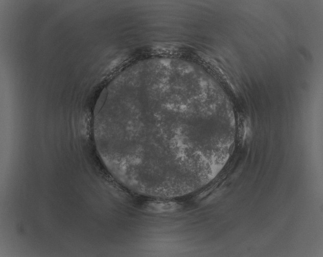 X0000116610712200912241733