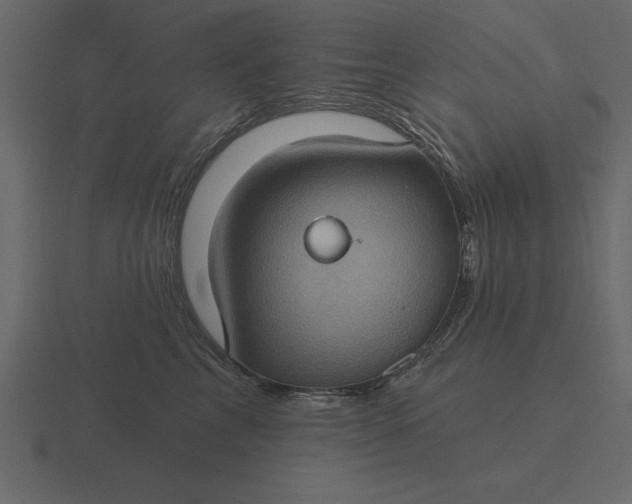 X0000116610713200912241733