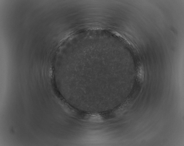 X0000116610715200912241733