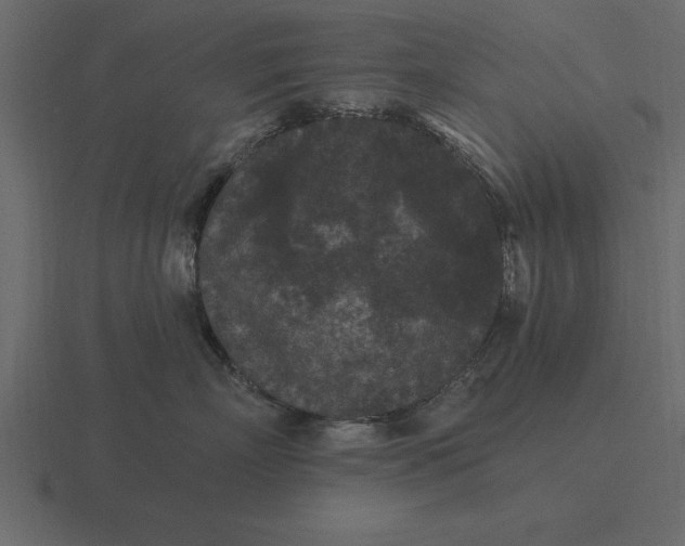 X0000116610718200912241733