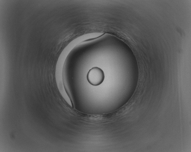 X0000116610720200912241733