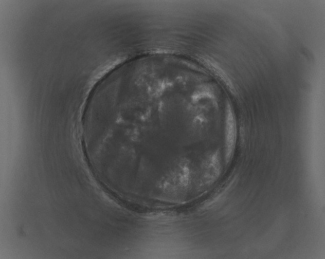 X0000116610721200912241732