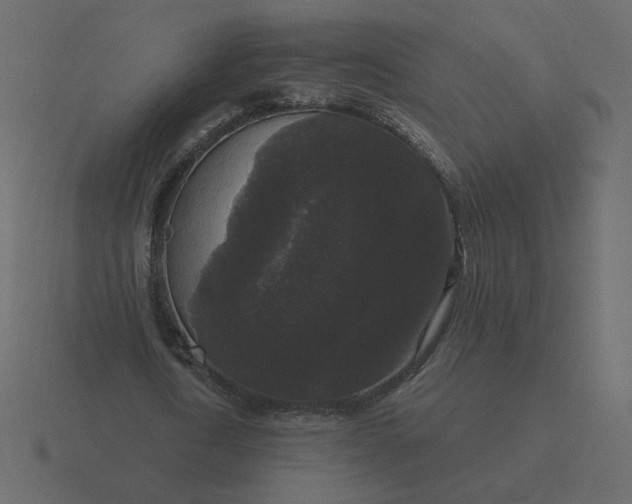 X0000116610722200912241733