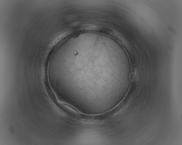 X0000116610725200912241733