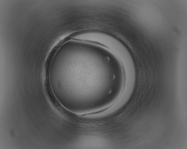 X0000116610726200912241733