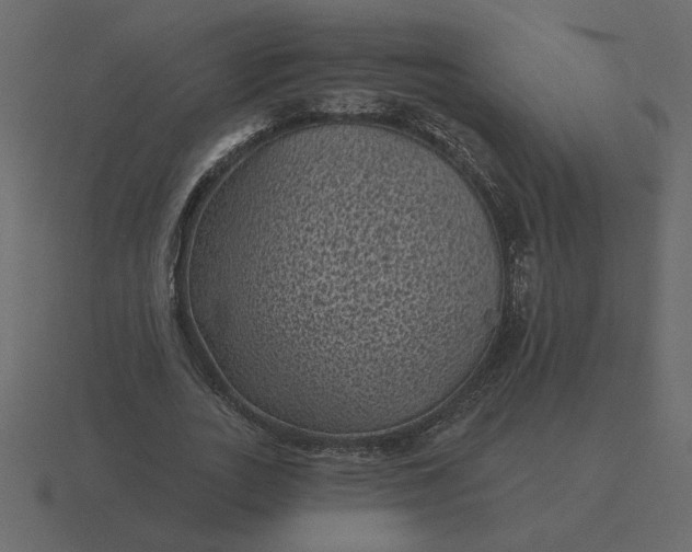 X0000116610727200912241733