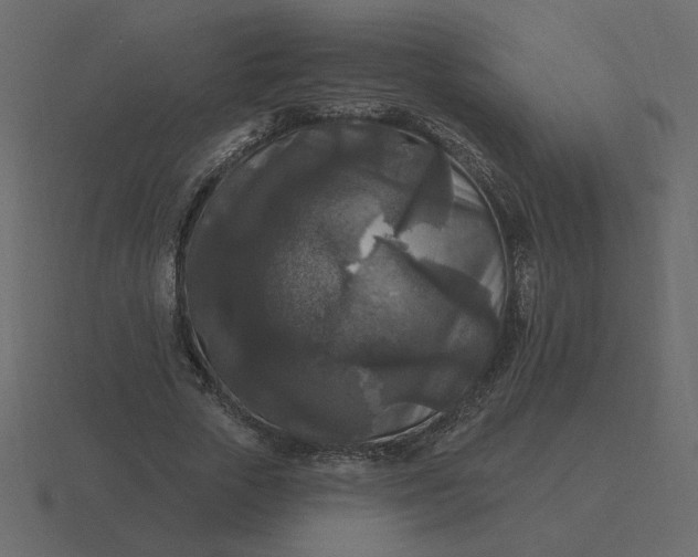 X0000116610729200912241733