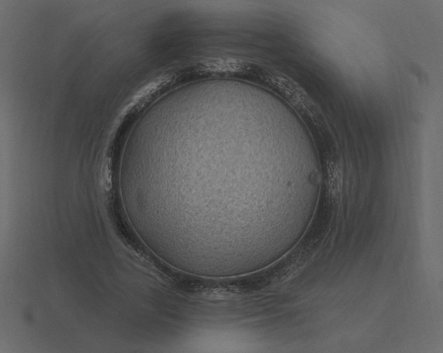 X0000116610731200912241733