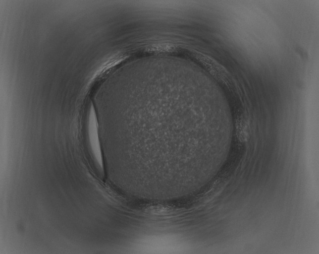 X0000116610735200912241733