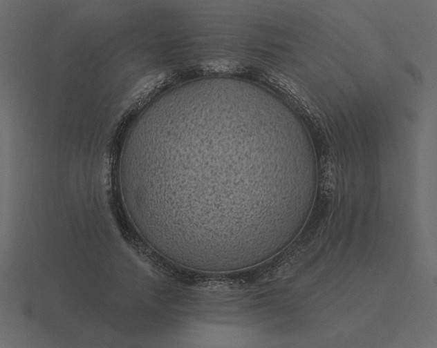 X0000116610738200912241733