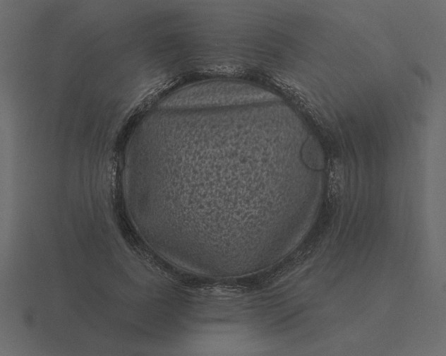 X0000116610739200912241733