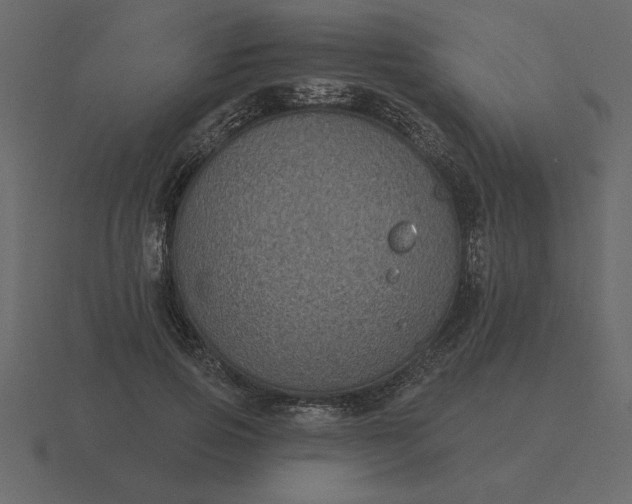 X0000116610741200912241733