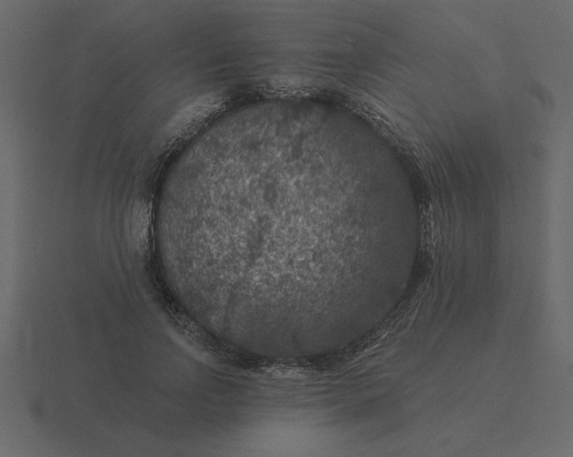 X0000116610742200912241733