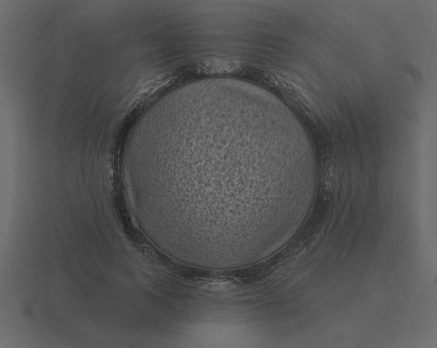 X0000116610743200912241733