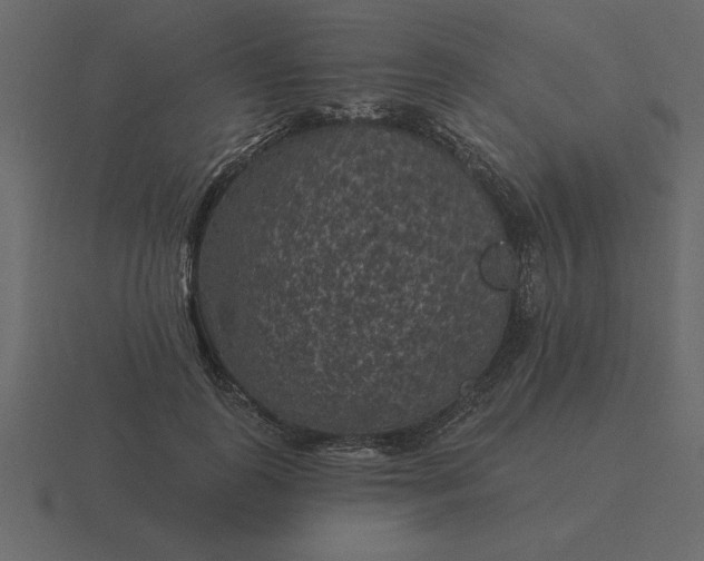 X0000116610747200912241733