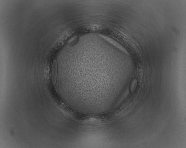 X0000116610750200912241733