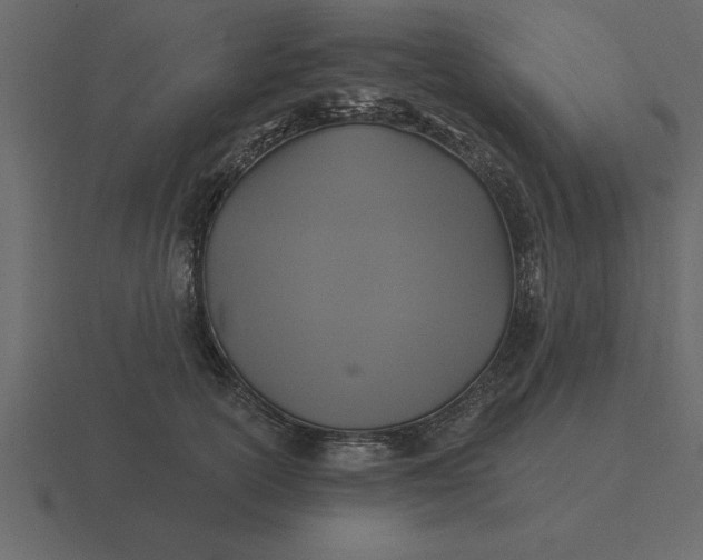 X0000116610754200912241733