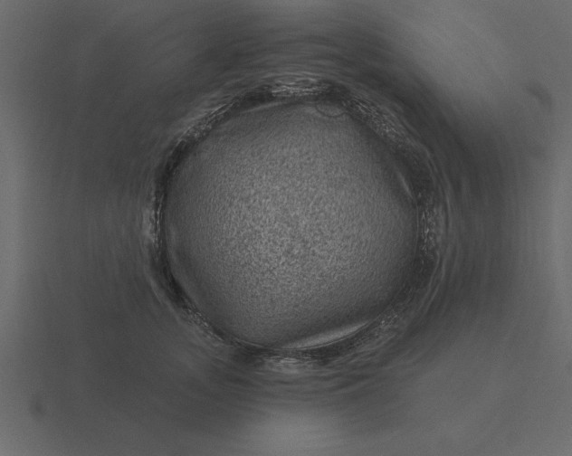 X0000116610755200912241733