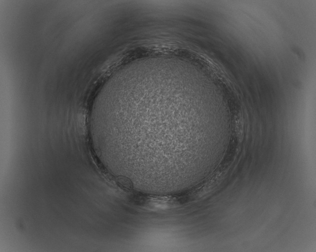 X0000116610757200912241733