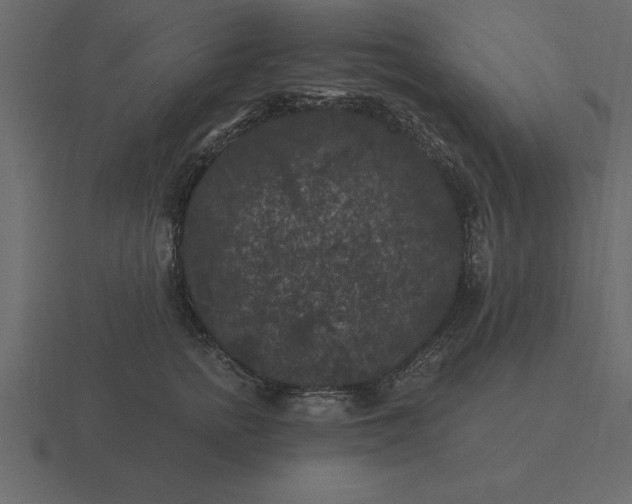 X0000116610758200912241733