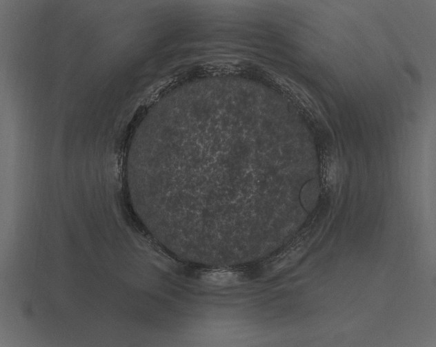 X0000116610759200912241733