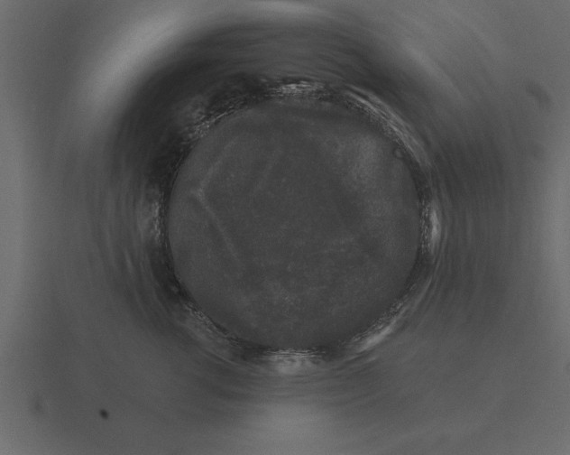 X0000116610762200912241733