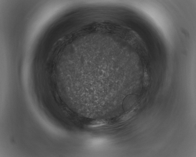 X0000116610765200912241733