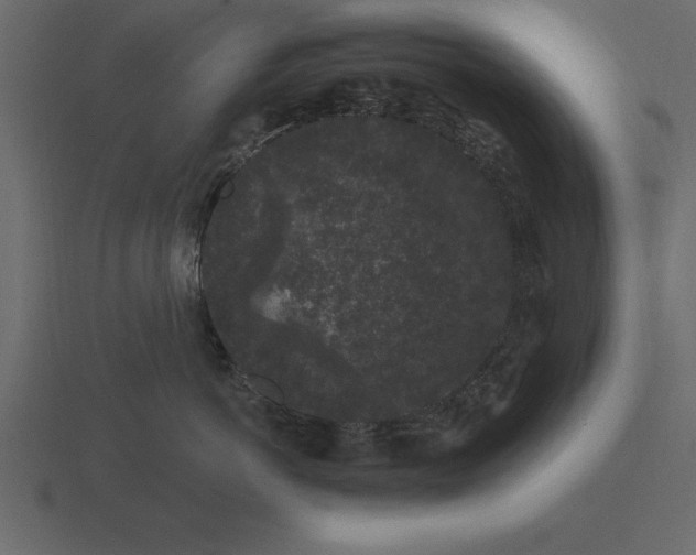 X0000116610766200912241733