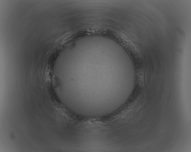 X0000116610770200912241732