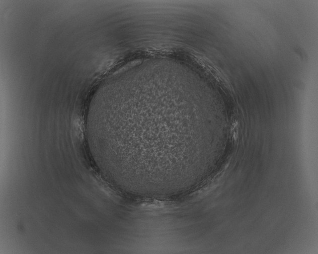 X0000116610772200912241732