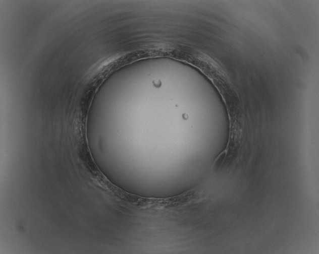 X0000116610773200912241732